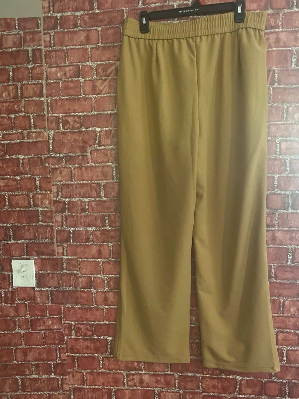 Wide Leg Pull-On Pants in Olive Tan size XLP